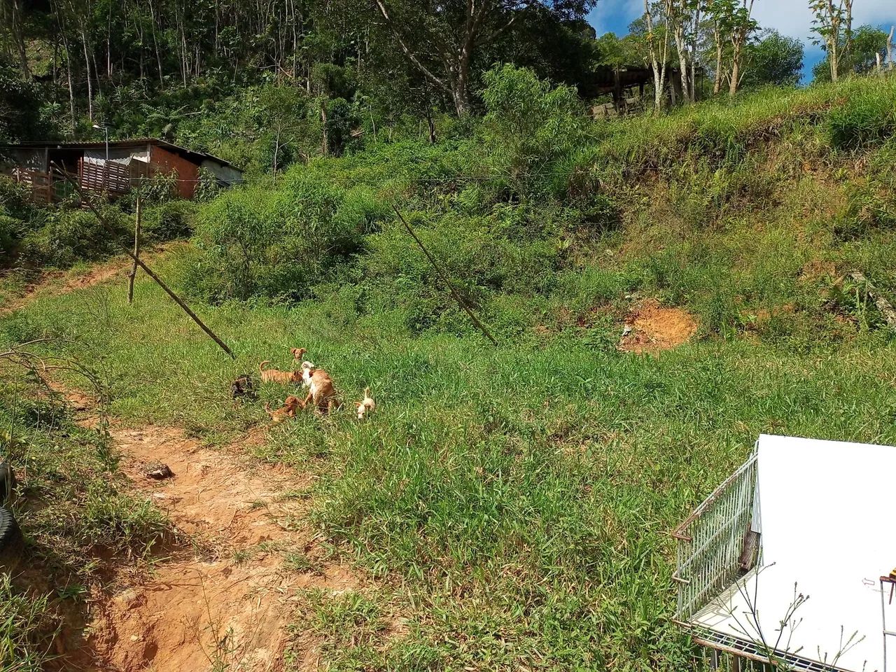 foto - Suzano - Chácara Sete Cruzes