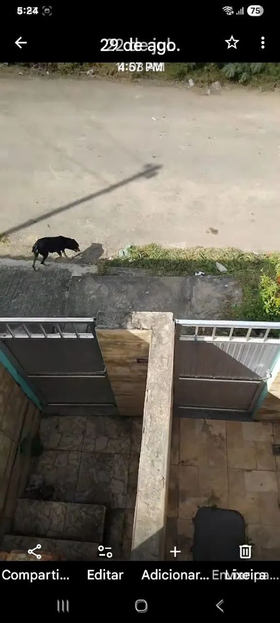 Foto - São Gonçalo - Monjolos