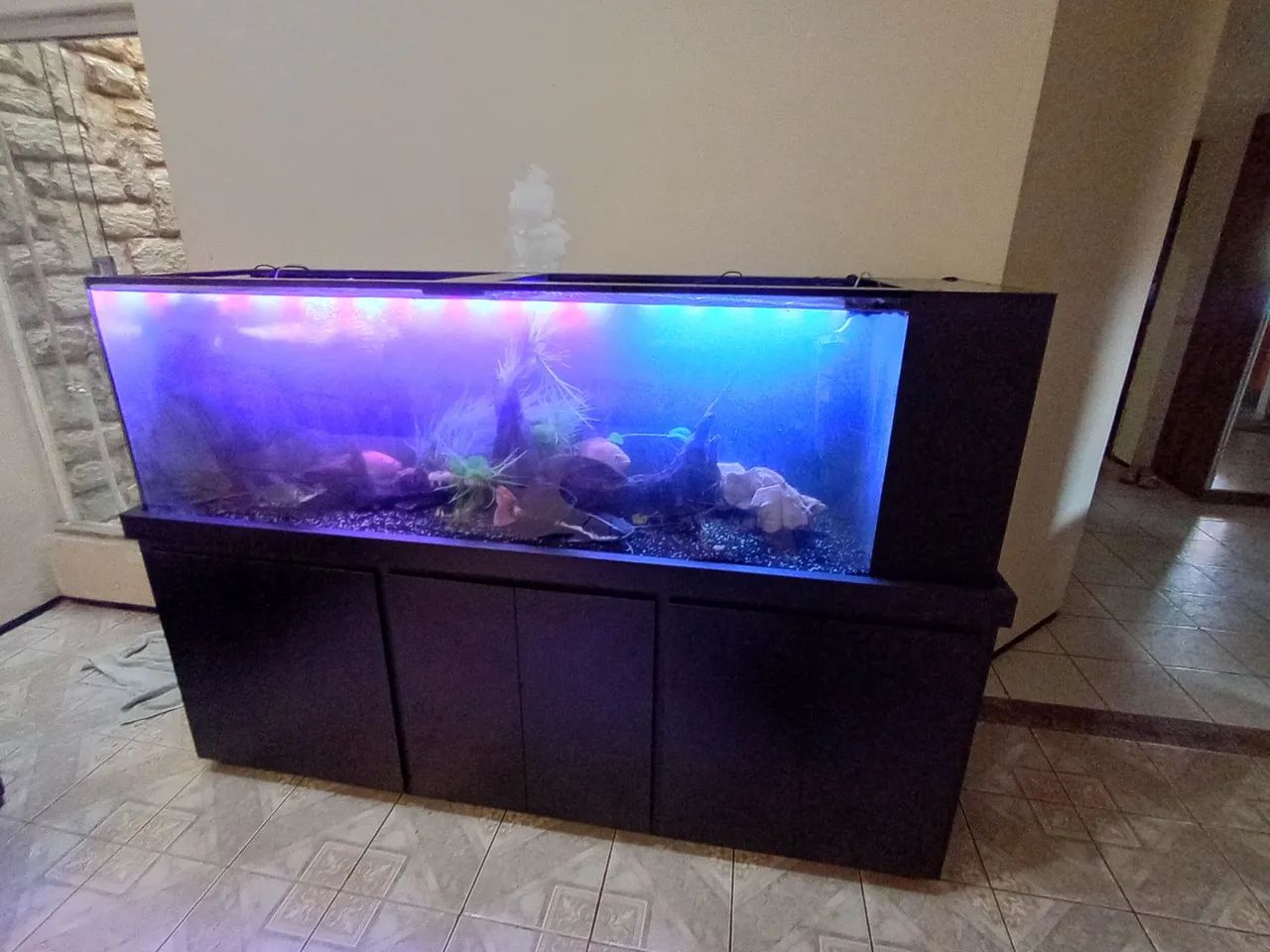 Aquario64319322726147120