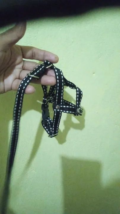 Coleiras top tradicional peitoral e guia  - Foto 6