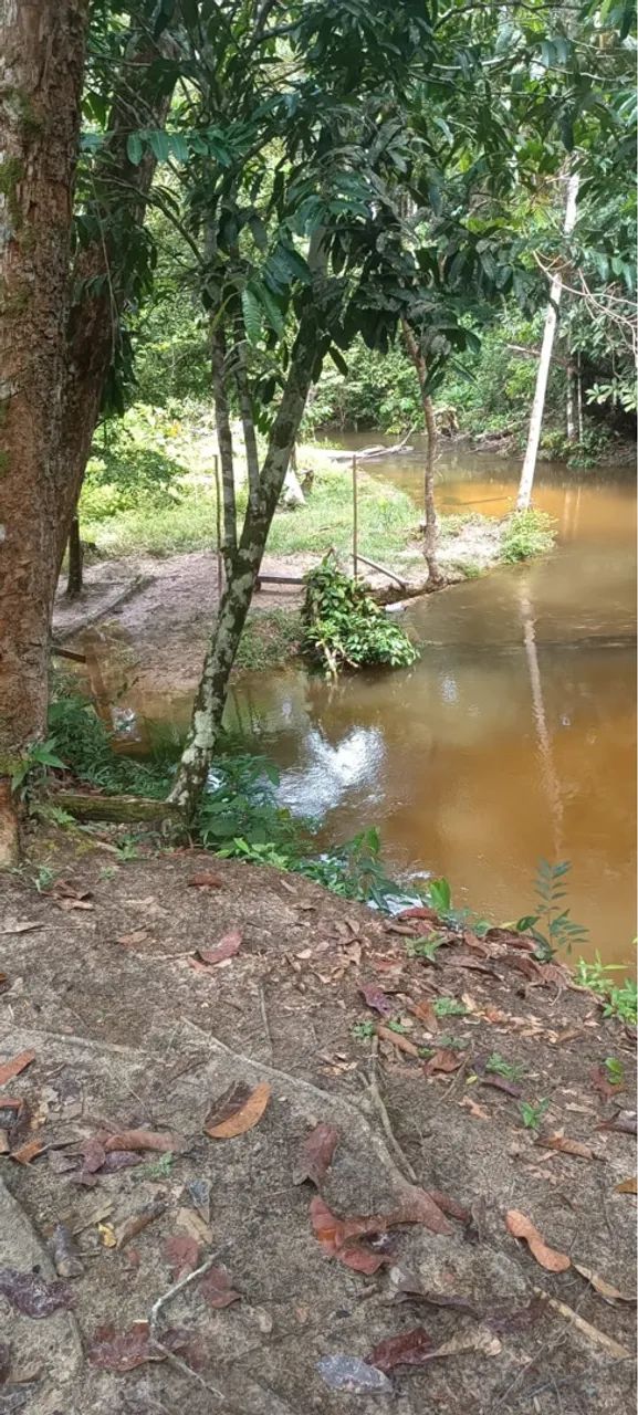 Vendo sítio em Rio preto da Eva com Garape 
