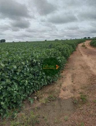 Fazenda à venda, por R$ 180.000.000 - Zona Rural - Ribeirão Cascalheira/MT - Foto 5