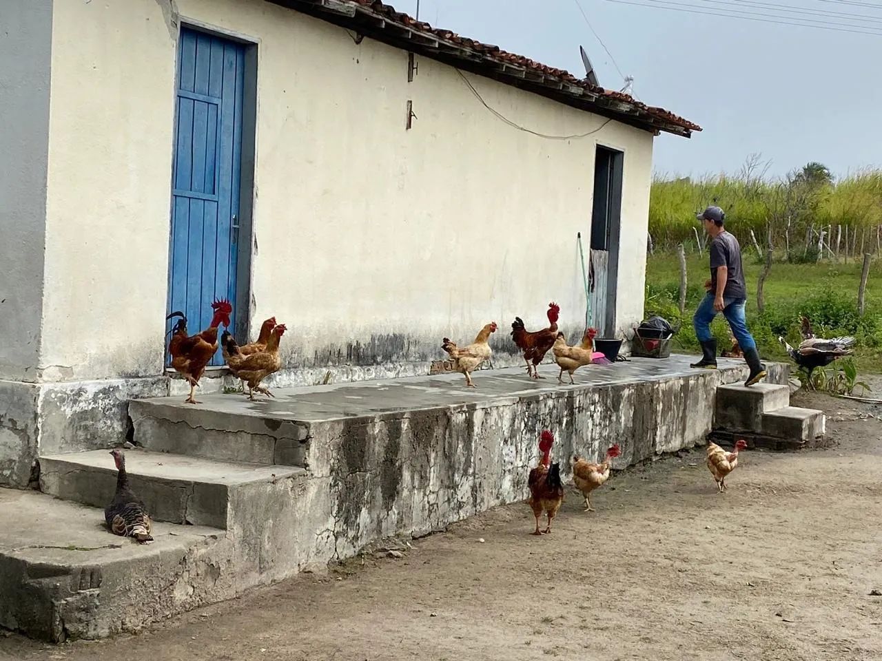 Sítio de 12 hectares à venda no Sítio Jardim(Garanhuns/PE) - Foto 2