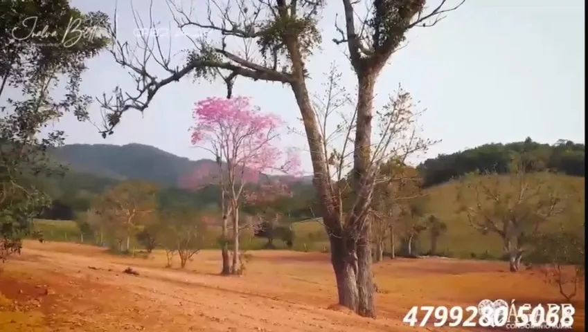 Chácara com 2.040m² Bairro Baia Itajaí SC - Foto 5