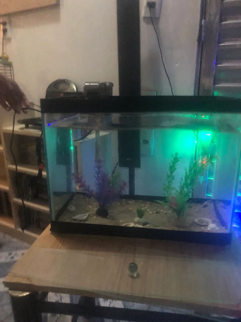 Vendo um aquário com bomba 