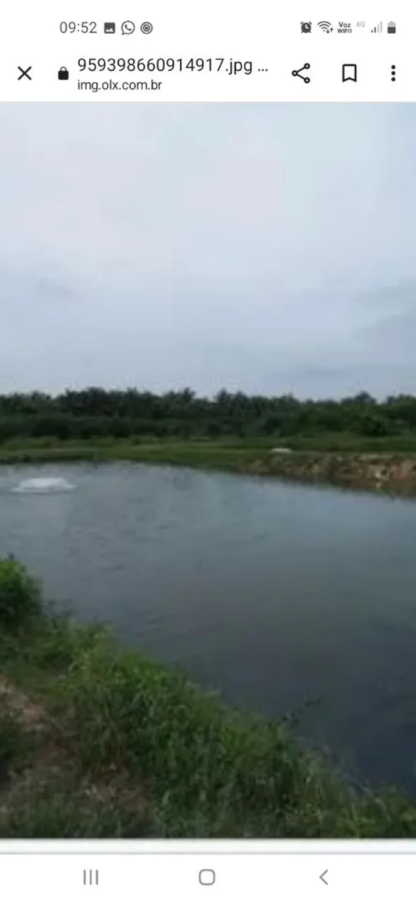 Propriedade 48 hectares 23 km Teresina estrada José de Freitas