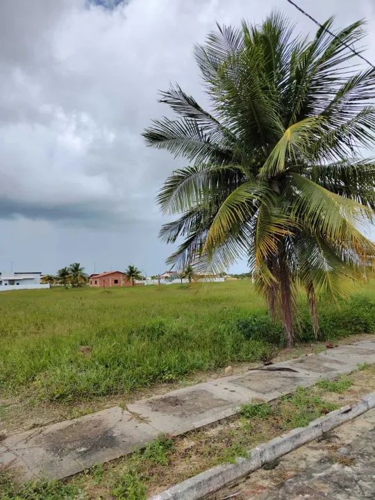 # Lote / Terreno Merídiem Praia Mar - Foto 8