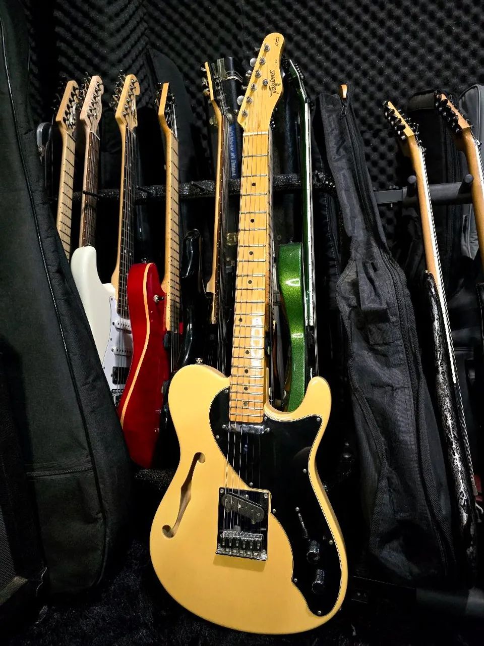 Guitarra Tagima Telecaster Thinline T-920 Butterscotch /ñ Gibson epiphone prs fender esp 