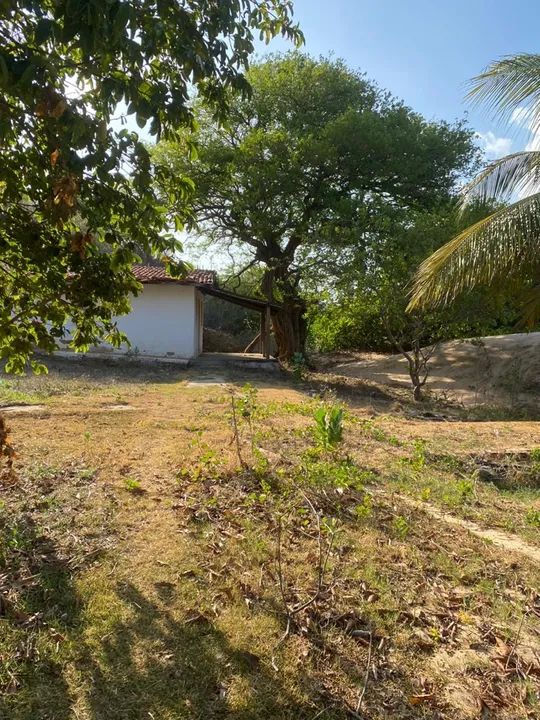 Propriedade na beira do rio São Francisco Traipu/Gararu - Foto 8