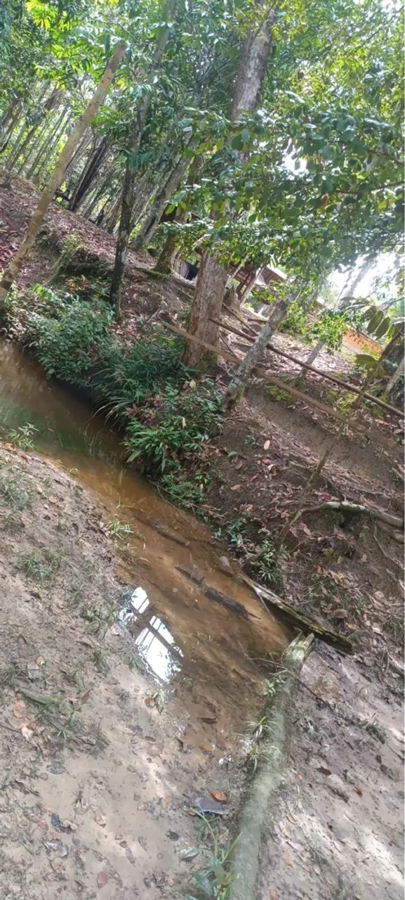 Vendo sítio em Rio preto da Eva com Garape  - Foto 2