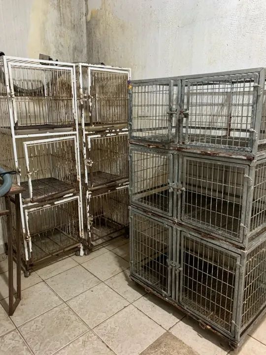 Gaiola/Canil para animais 