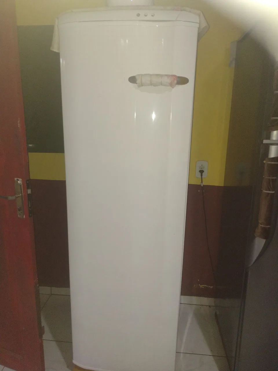 Vendo este frizer vestical usando pouco 