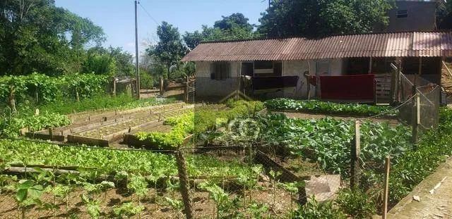 Sítio com 3 dormitórios à venda, 104000 m² por R$ 2.300.000,00 - Forquilhas - São José/SC - Foto 12
