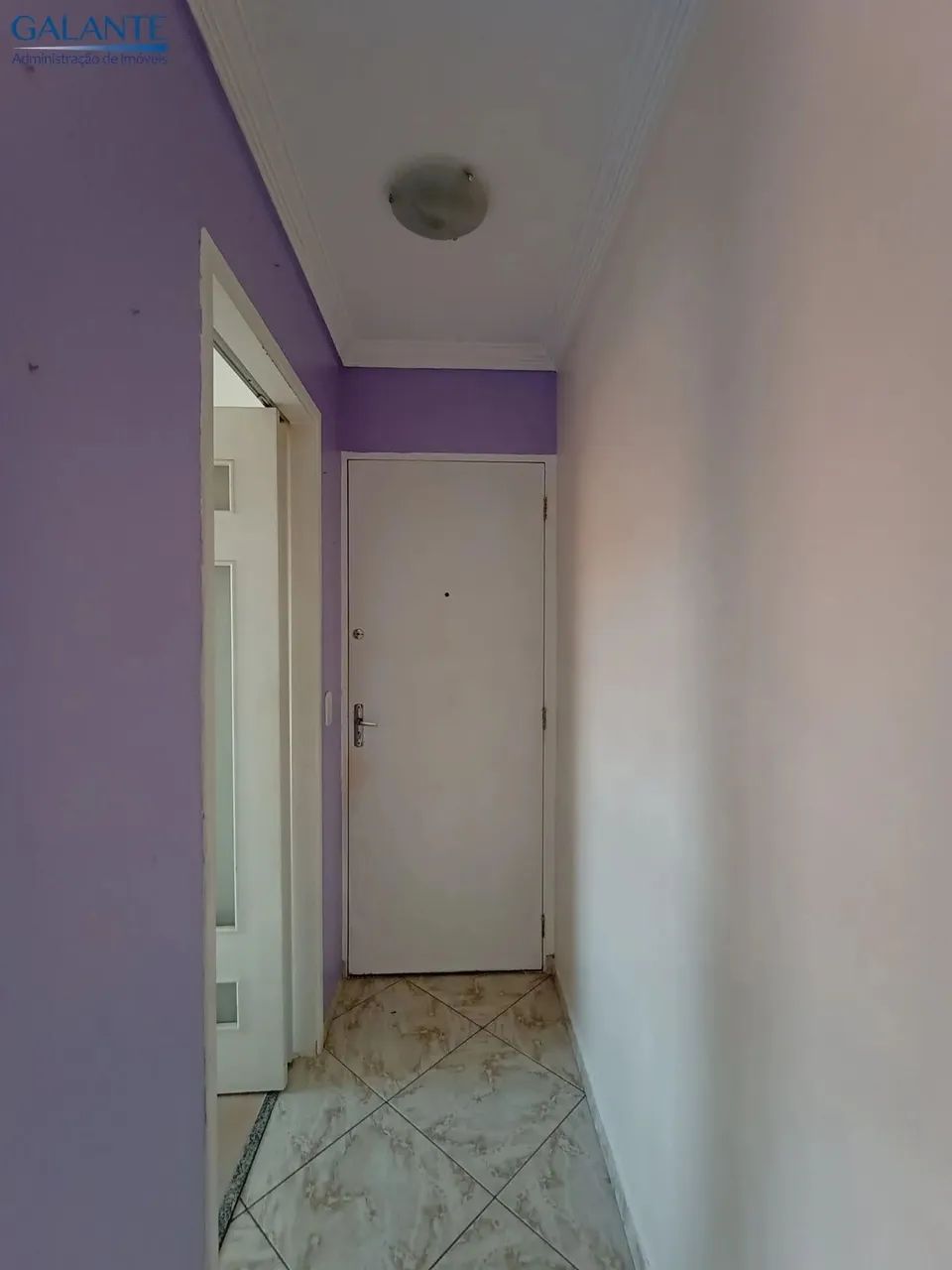 Apartamento em Vila Palmeiras, São Paulo/SP - Foto 4