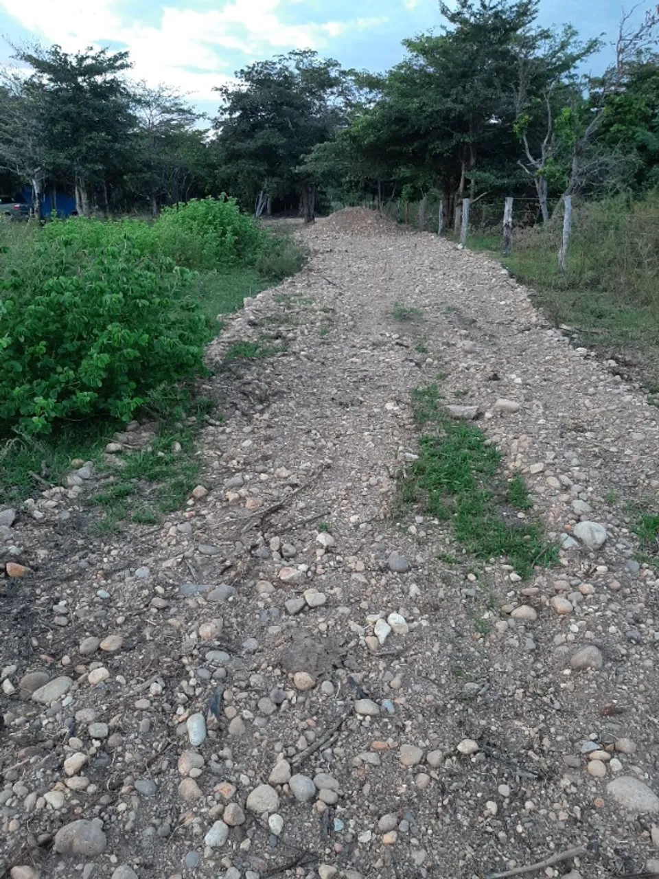 Terreno no Lago do Peixe Tocantins A venda valor: 85000,00 mil reais.