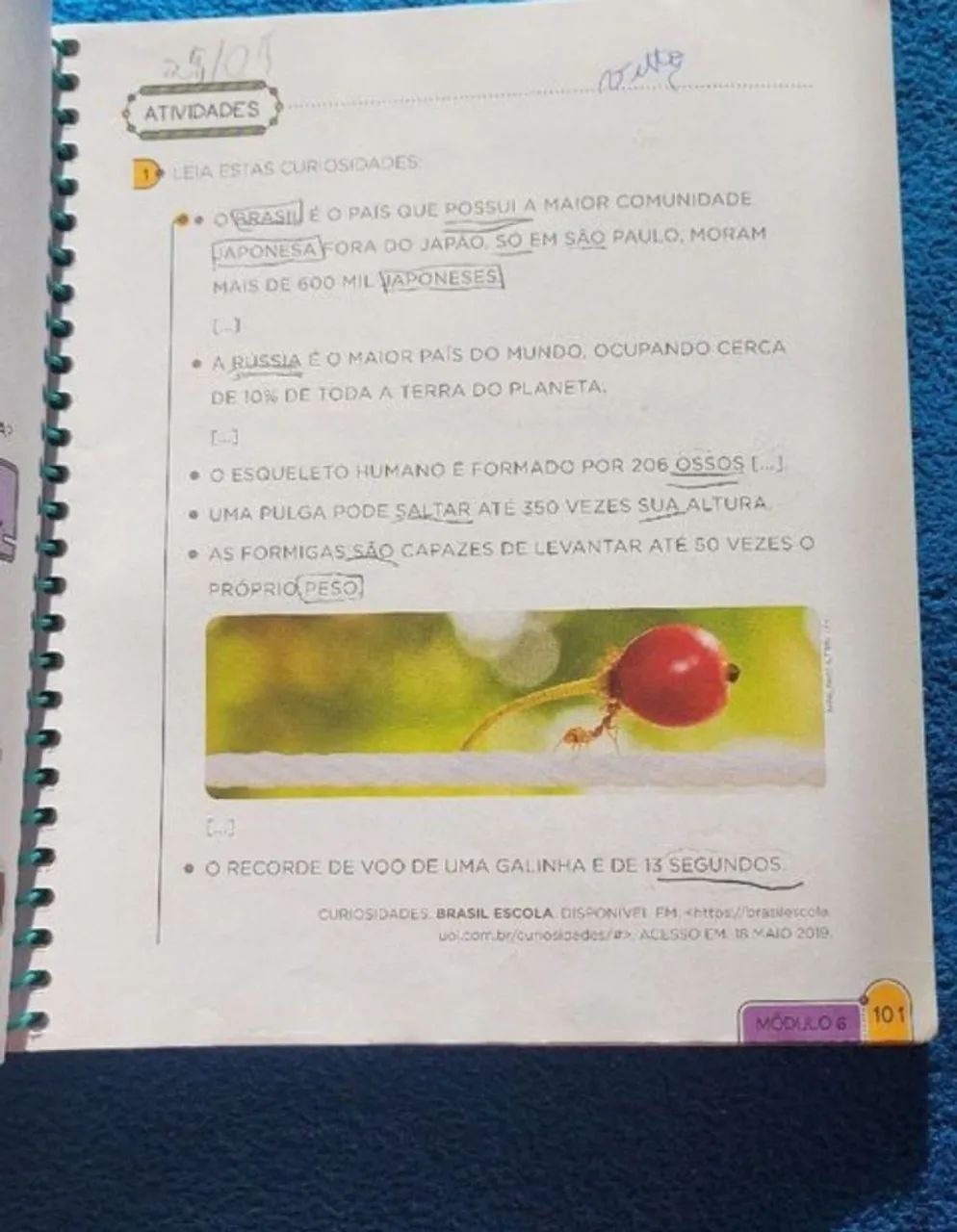 livro anglo educação infantil português história e geografia - Foto 2
