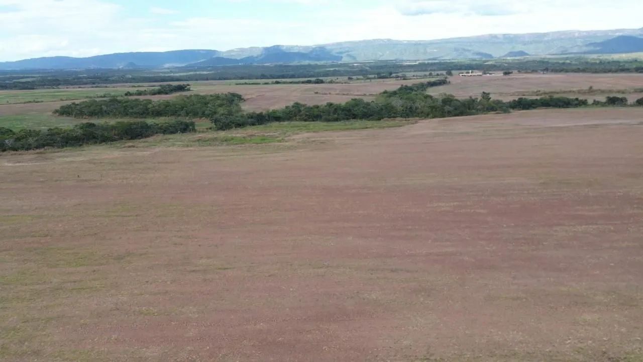 Fazenda arrendamento 1.300 hec em Jangada MT.  - Foto 2