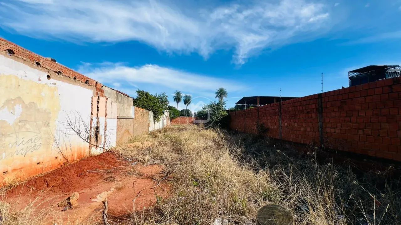 TERRENO COMERCIAL AV MASCARENHAS DE MORAES - Foto 5