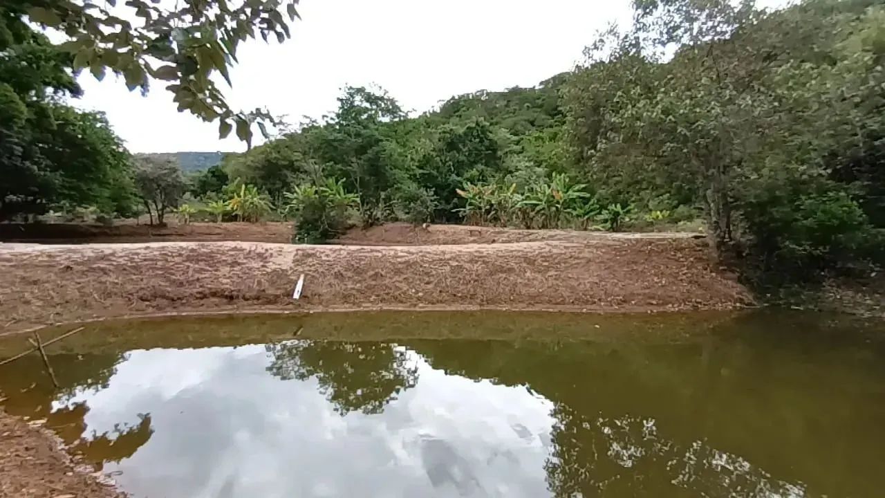 Fazenda/Sítio/Chácara para venda possui 170 metros quadrados com 3 quartos - Foto 9