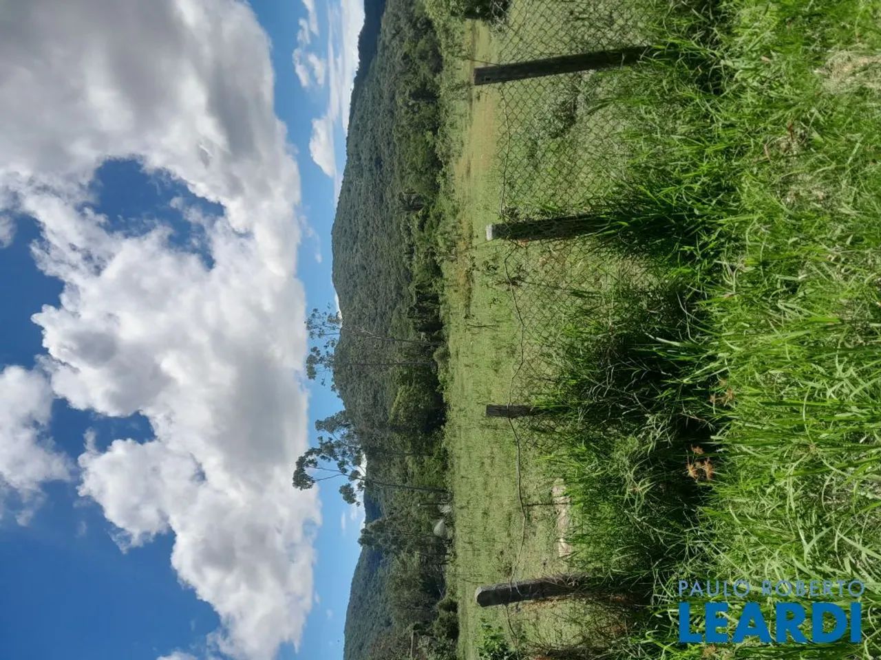 TERRENO - RATONES - SC - Foto 3