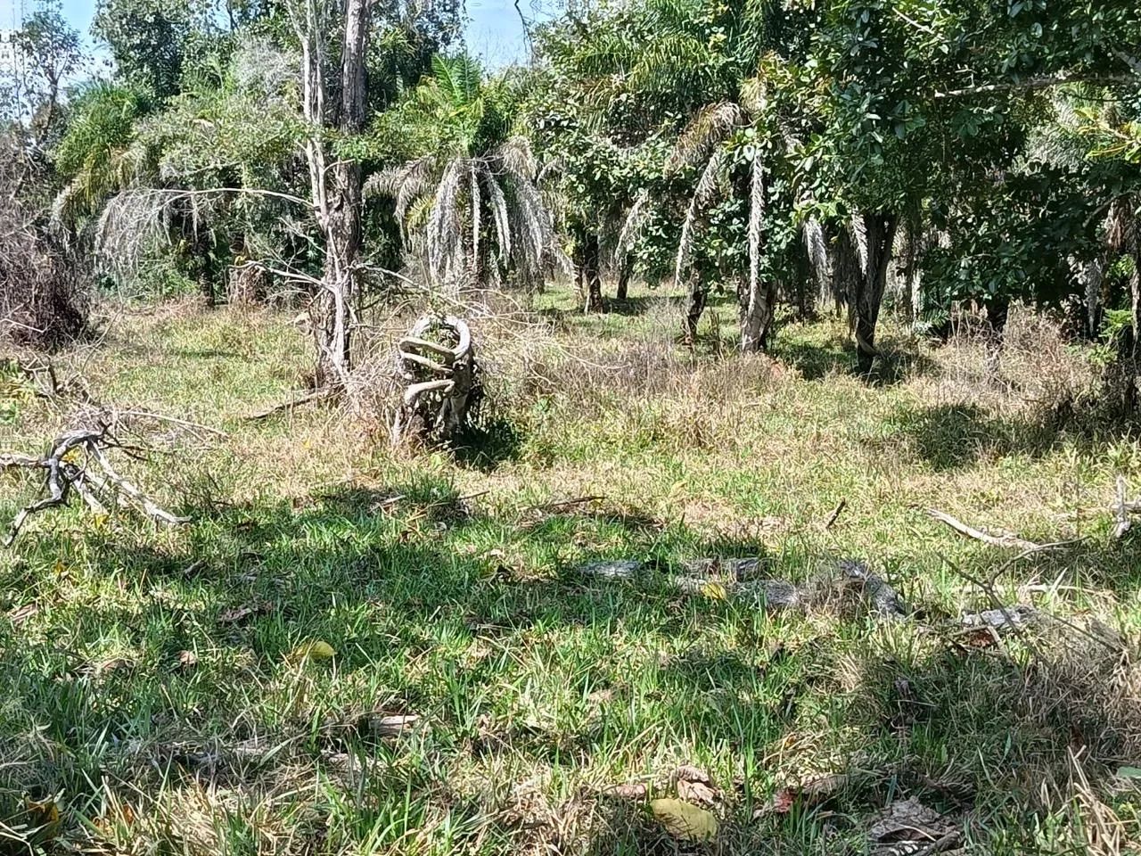 Fazenda em Arenópolis-go - Foto 5