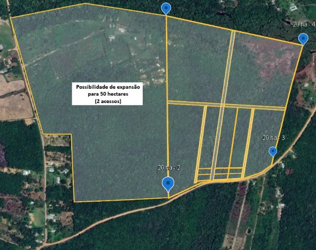 Área 20 ha - Ramal do Janauari - ideal para loteamento de chácaras - Até 50 ha - Foto 5