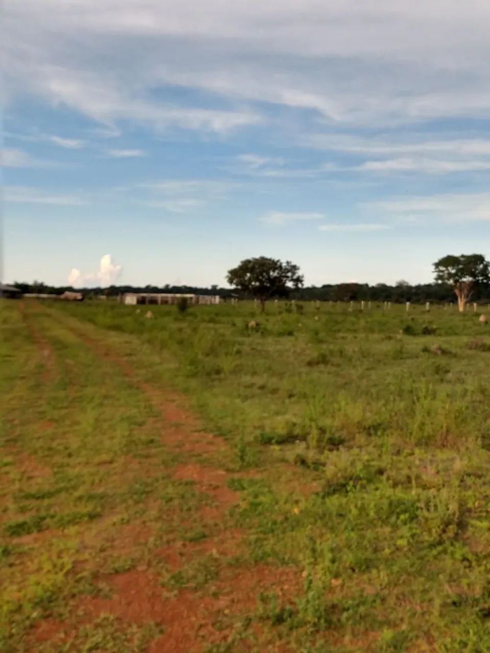 Fazenda a venda  - Foto 3