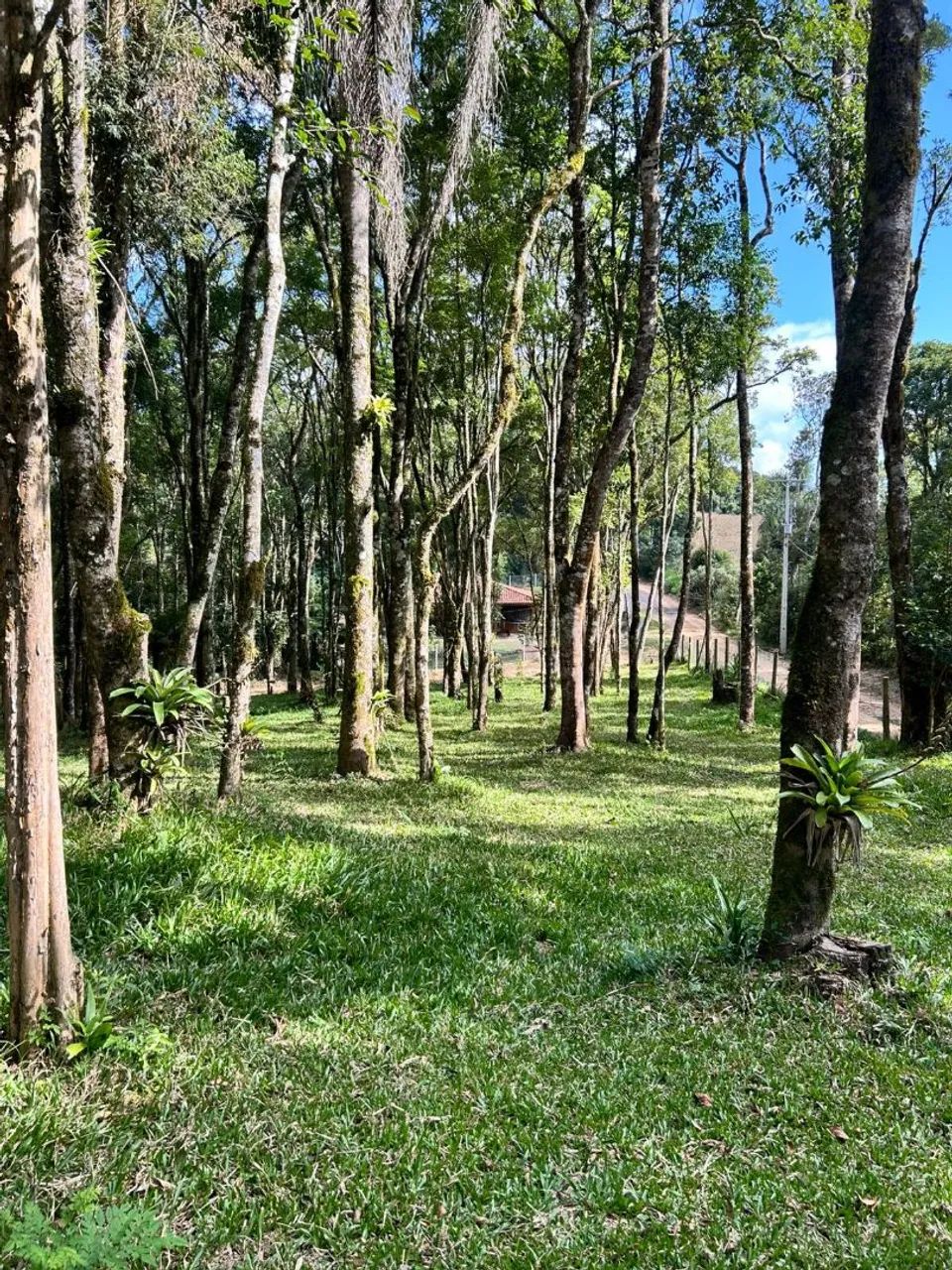 Chácara em Mandirituba - PARANÁ  - Foto 2