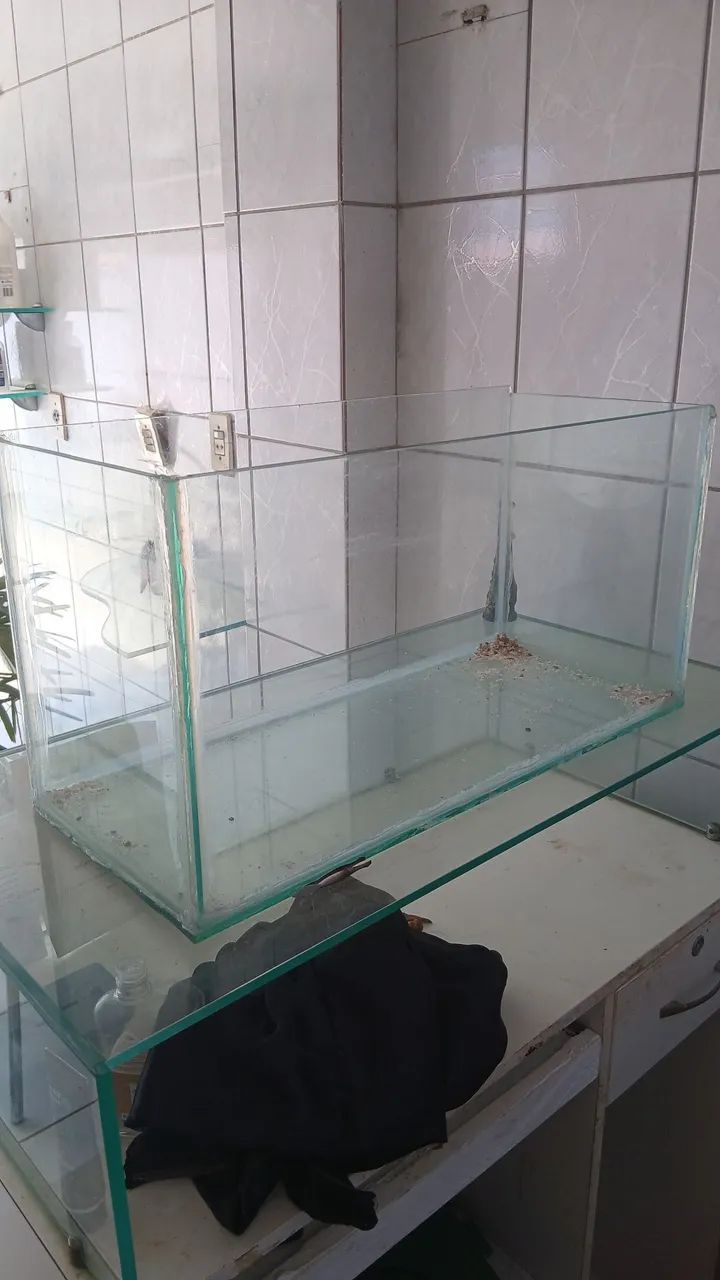Aquário 