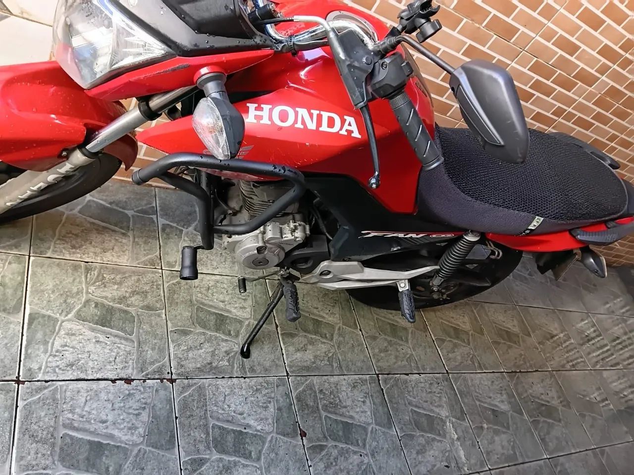 FAN 2019  - Foto 4