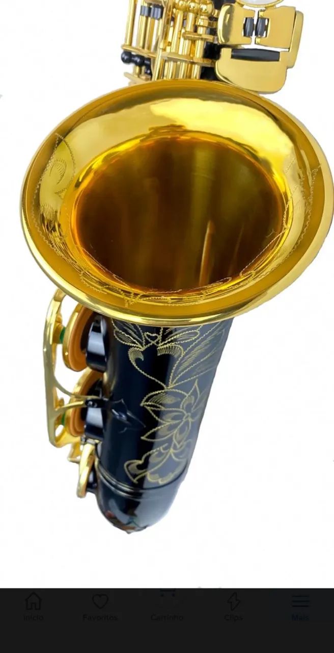 Saxofone Alto Halk Preto Curvo - Foto 4