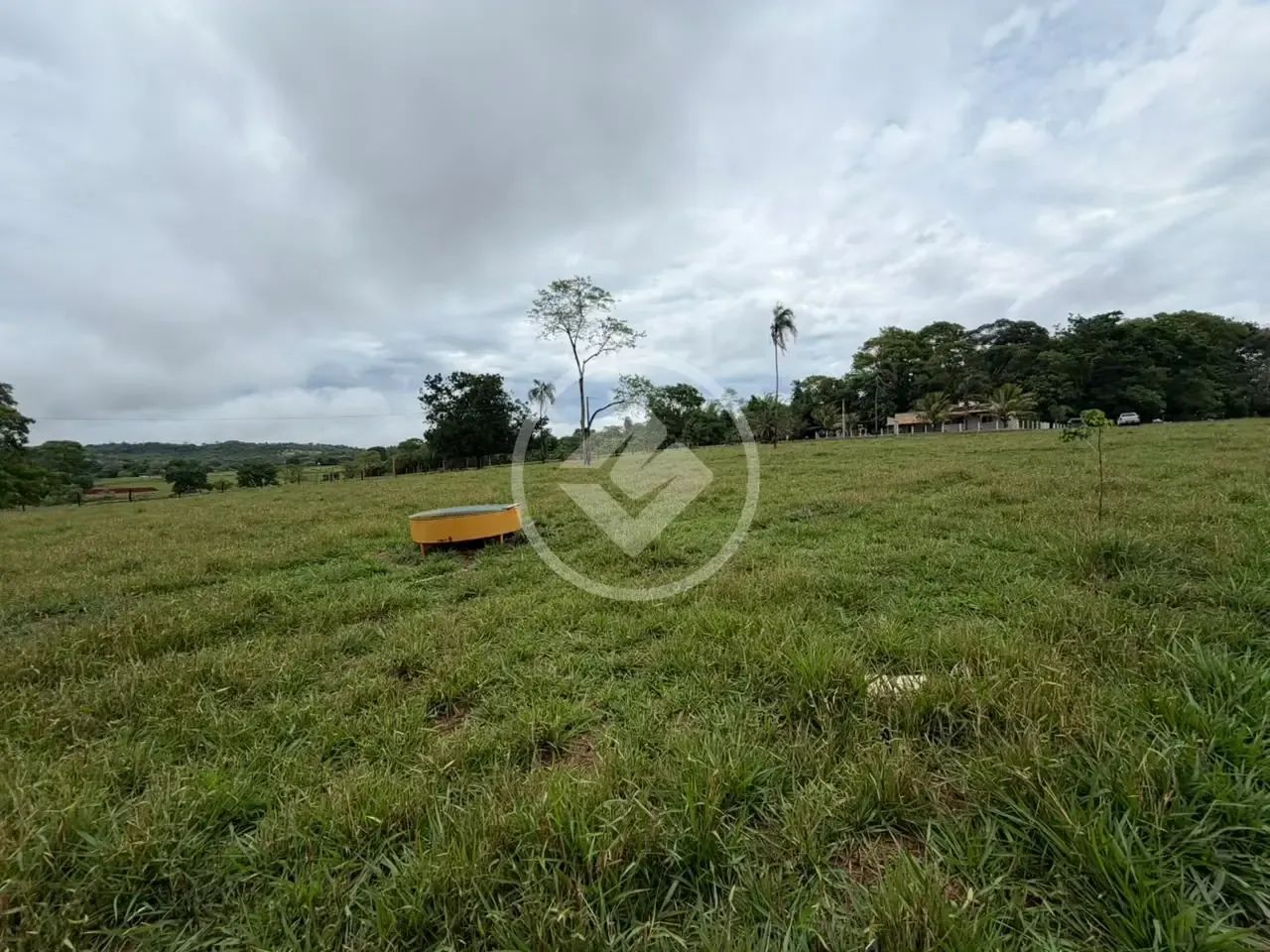 CHÁCARA EM BRAZABRANTES GO codigo: 384050 - Foto 4