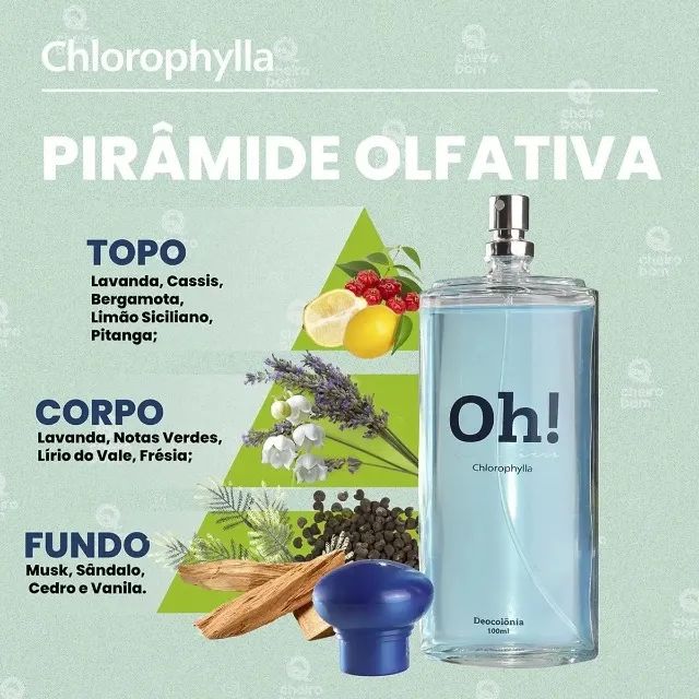 Eau de Cologne Oh! 100ml Chlorophylla - Foto 3