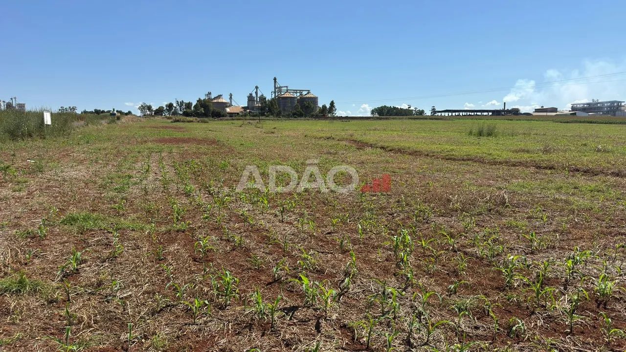 Area de 30.000m² em Jataí - Foto 4