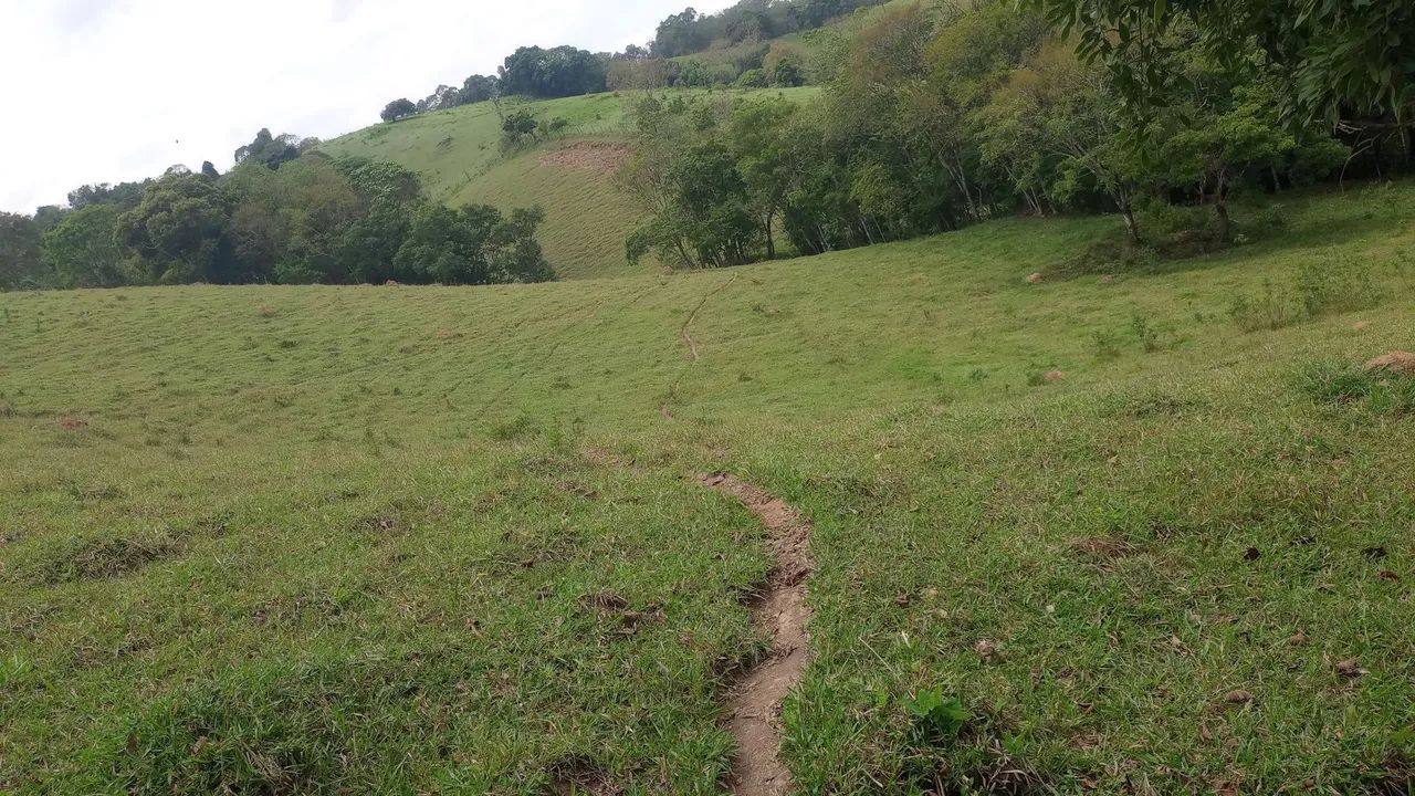 Terreno grande e barato com mina de água  - Foto 5