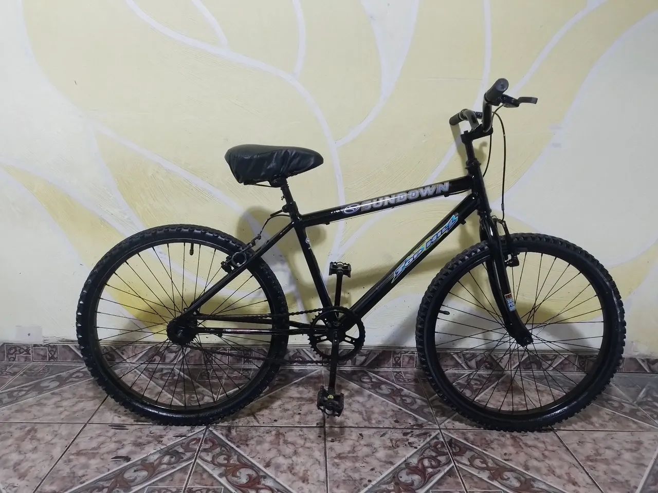 Bicicleta aro 24