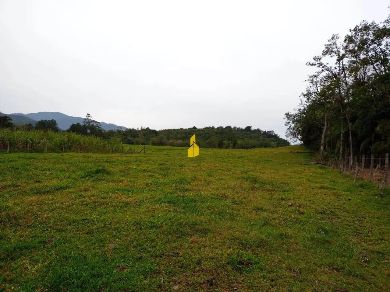 Terreno em Rio dos Cedros