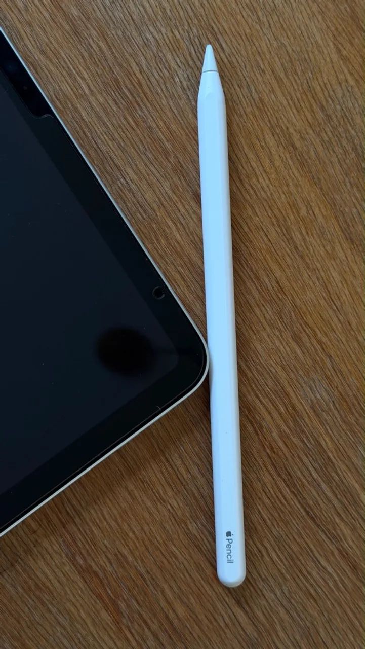 IPAD PRO 12,9" M2 (6 GERAÇÃO), 256 GB  - Foto 4