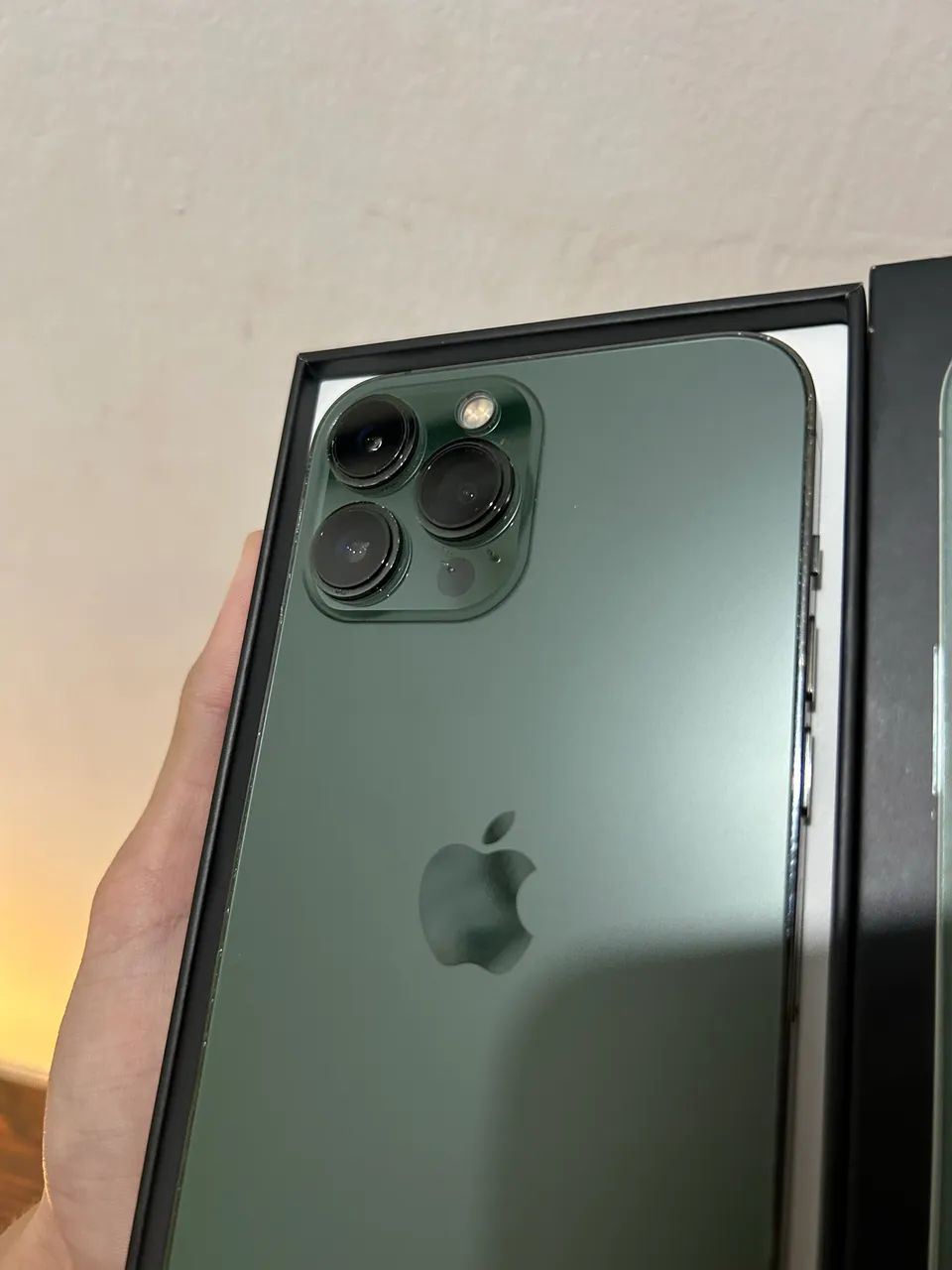 IPhone 13 Pro Max 256gb - Celulares e Smartphones - Jacinta