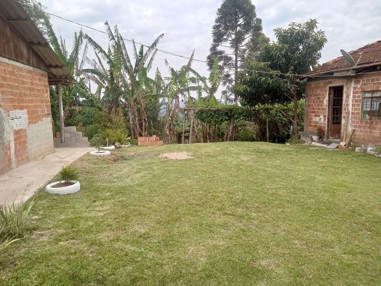 Vendo chácara em Rio Branco do Sul  - Foto 5