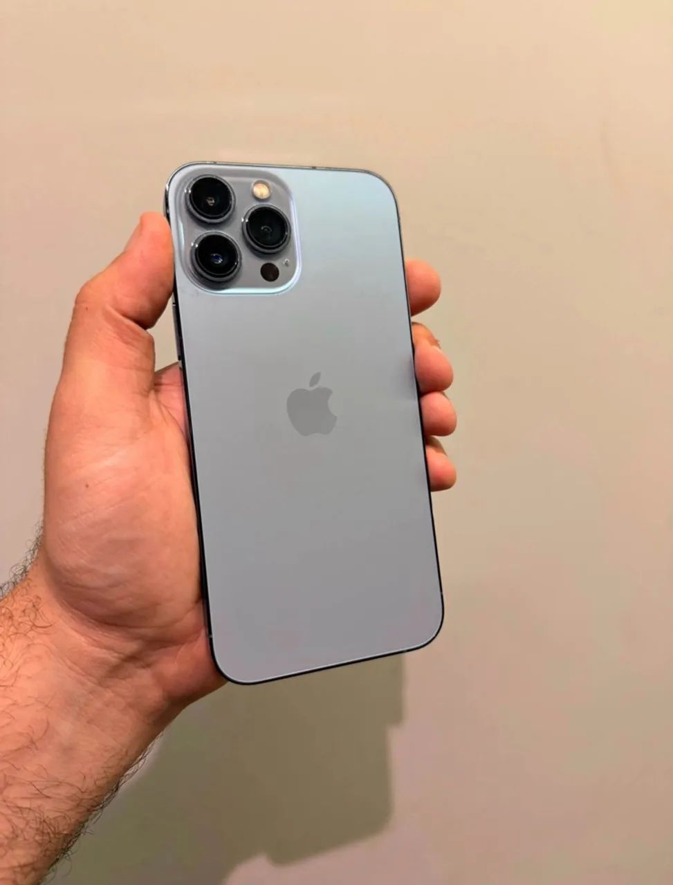 iPhone 13 Pro Max / 256GB