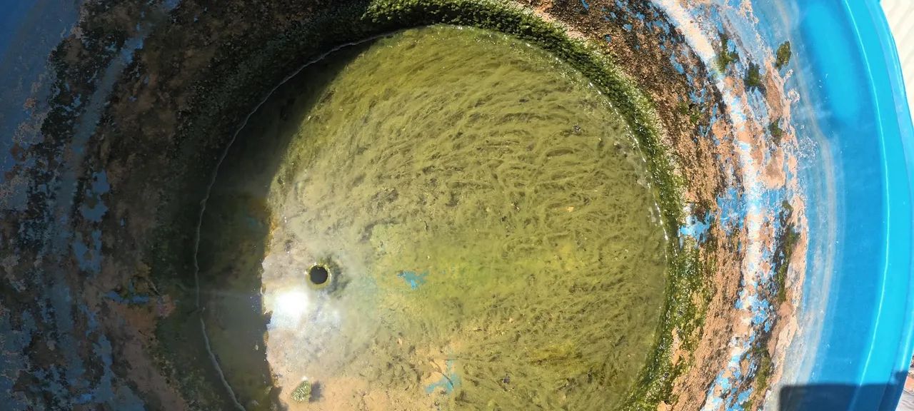 (Limpeza) Higienização de Reservatórios de água e Cisternas  - Foto 2