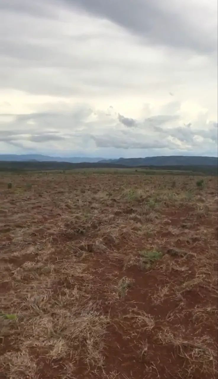 Fazenda em Niquelândia-Go  - Foto 4