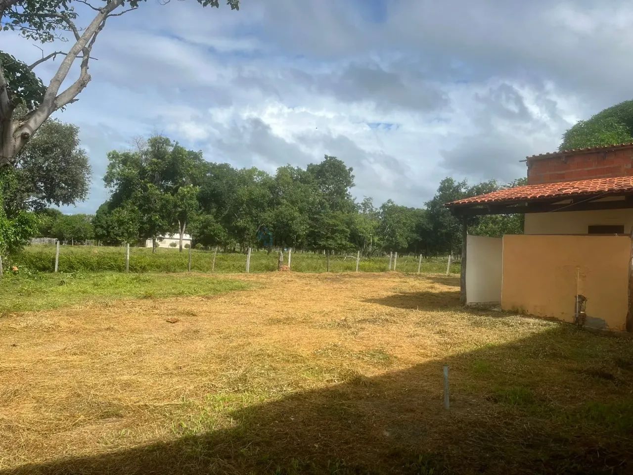 Sitio com 16 hectares, sendo 12 hectares formadas, 59 km da cidade de Várzea Gra - Foto 3
