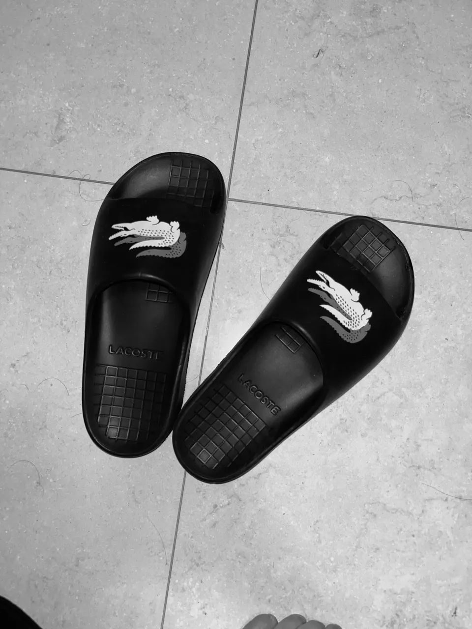 slide lacoste 