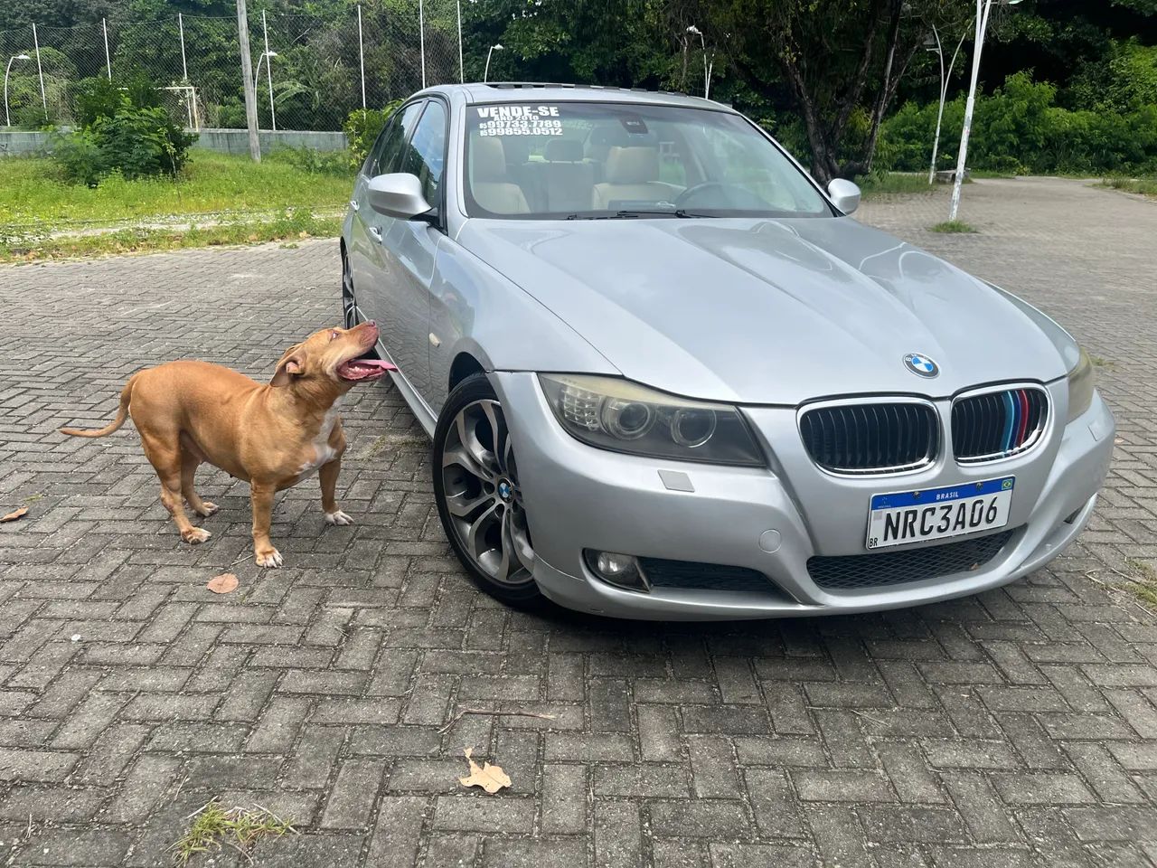 BMW 320I A 2010 - Foto 3