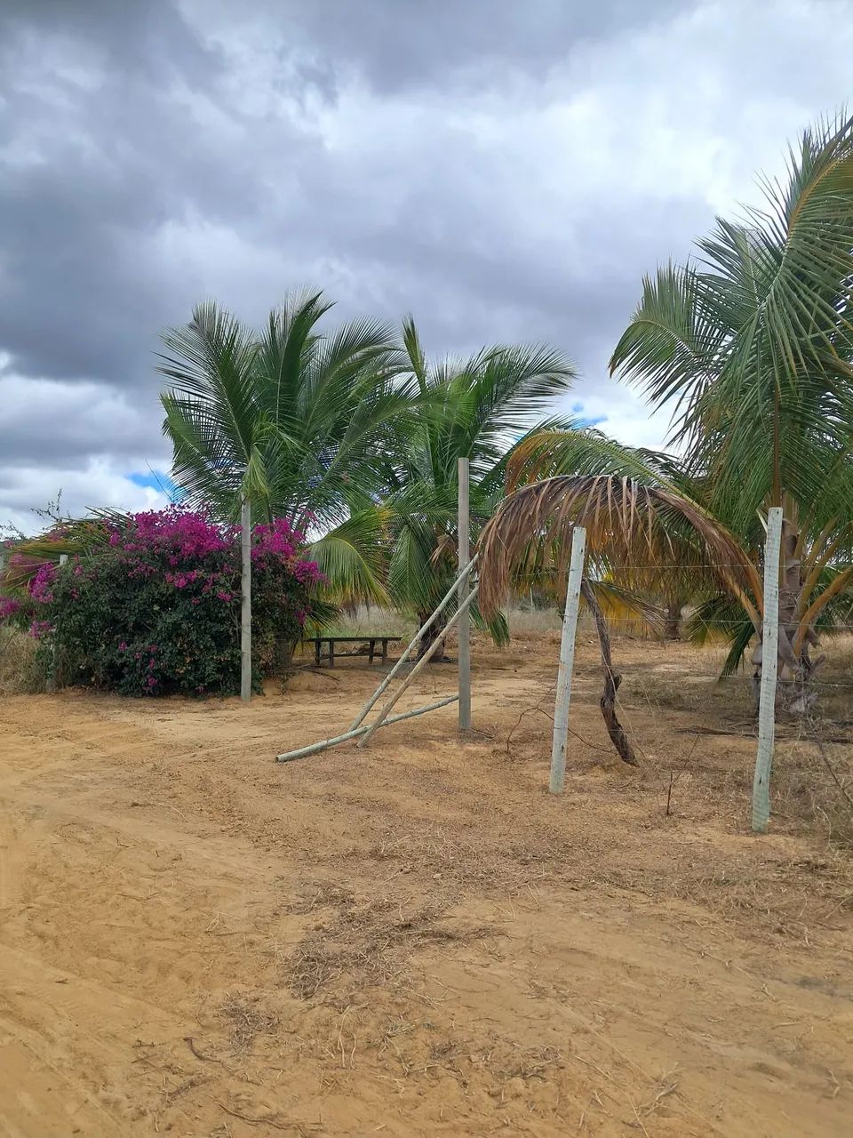 Sitio a venda  - Foto 3
