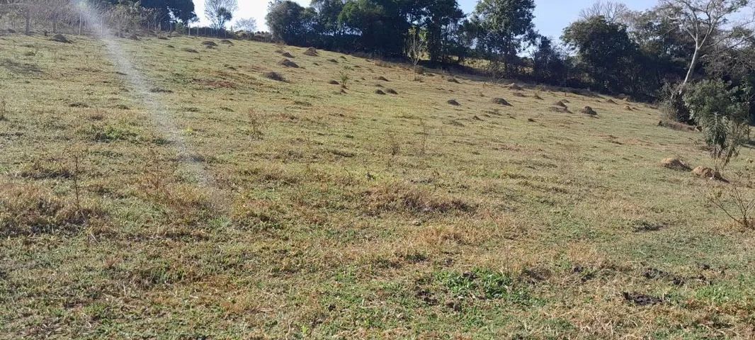 TERRENO PARA CHACARA - Foto 5