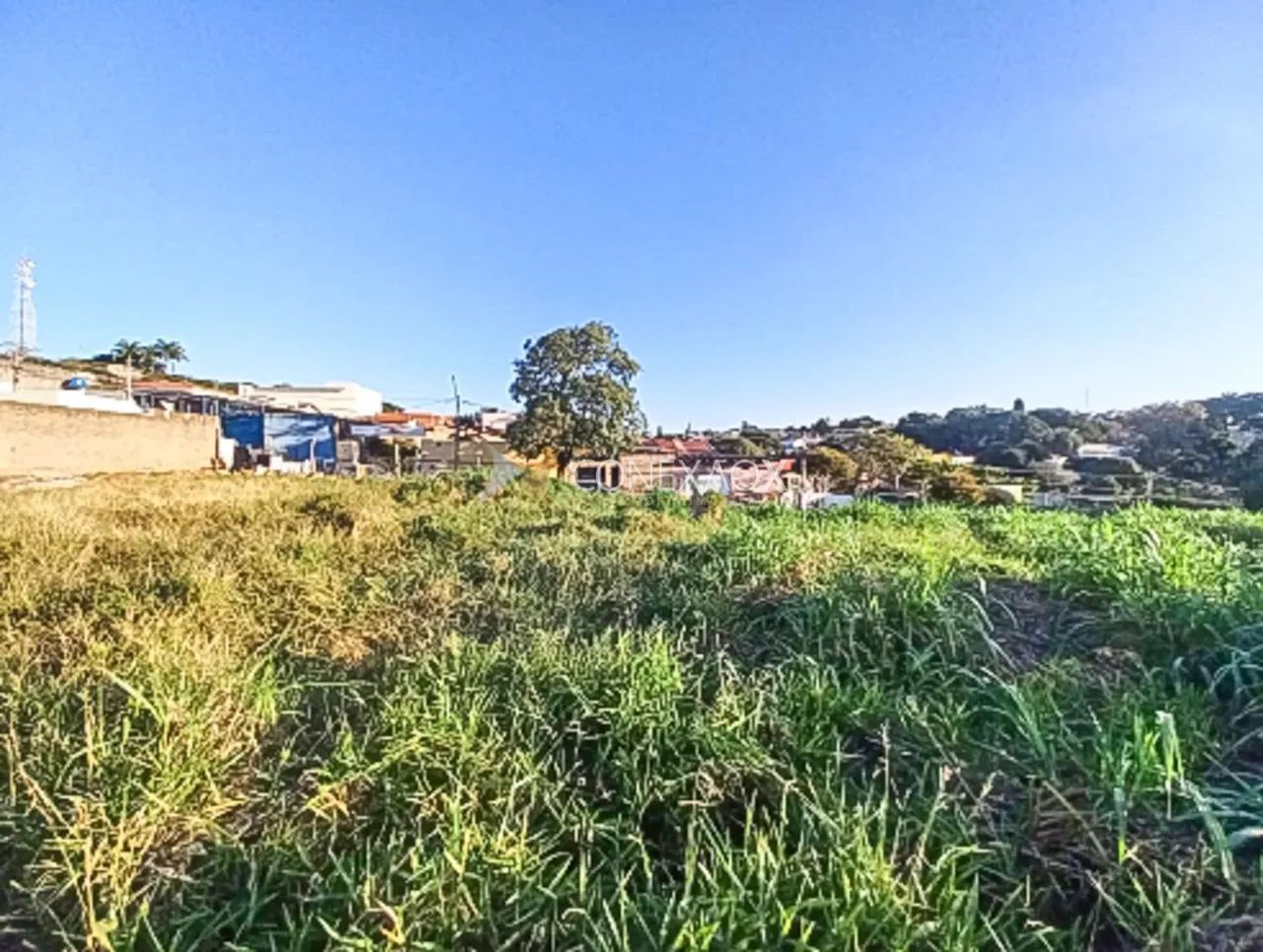 área - Chácara Primavera - Campinas - Foto 3