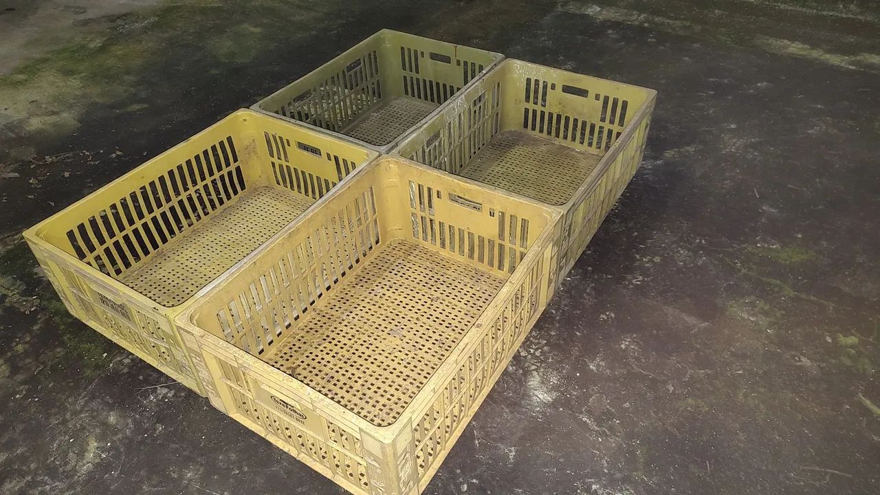 4 CAIXAS AGRÍCOLAS VERDURAS/VEGETAIS 